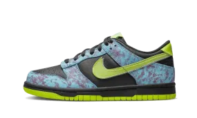 Nike Dunk Low Acid Wash